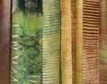 scarf_collection